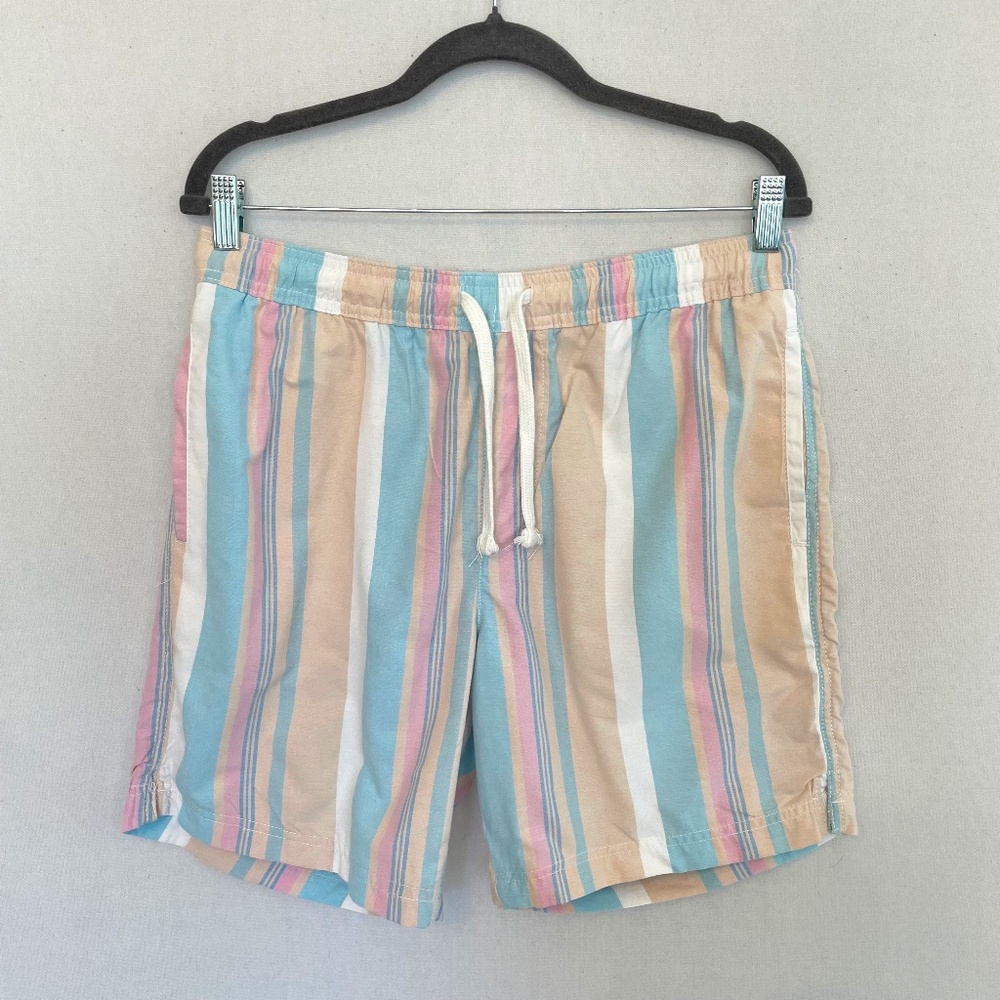 FREE PLANET Women's Size Medium Beach Vibes Striped Pull On Shorts Pockets